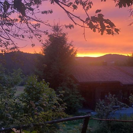 Ferienhaus Schlagintweit ドラクセルスリート エクステリア 写真